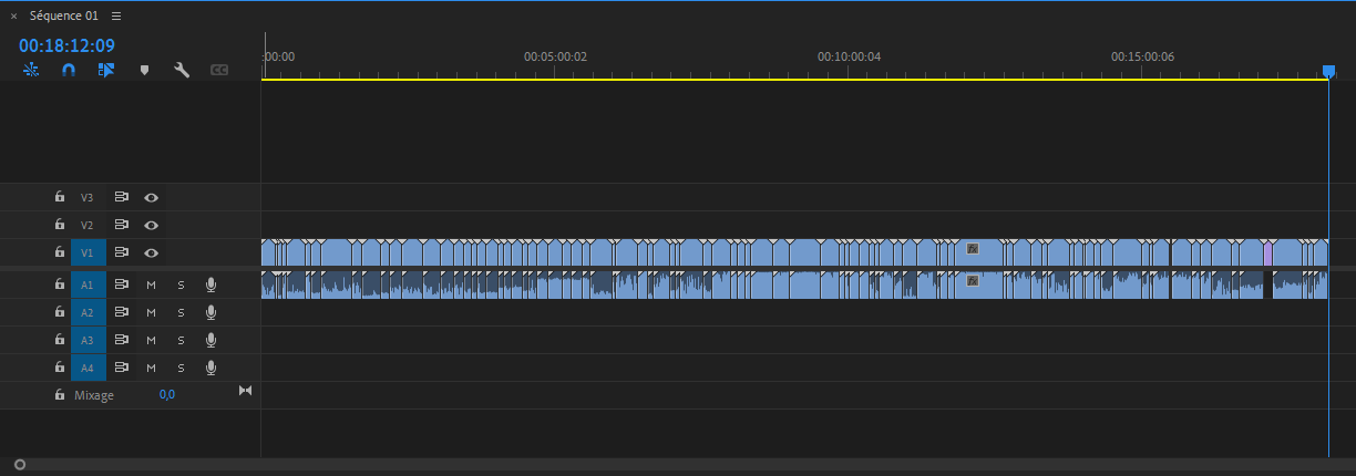 Premiere Pro Screen